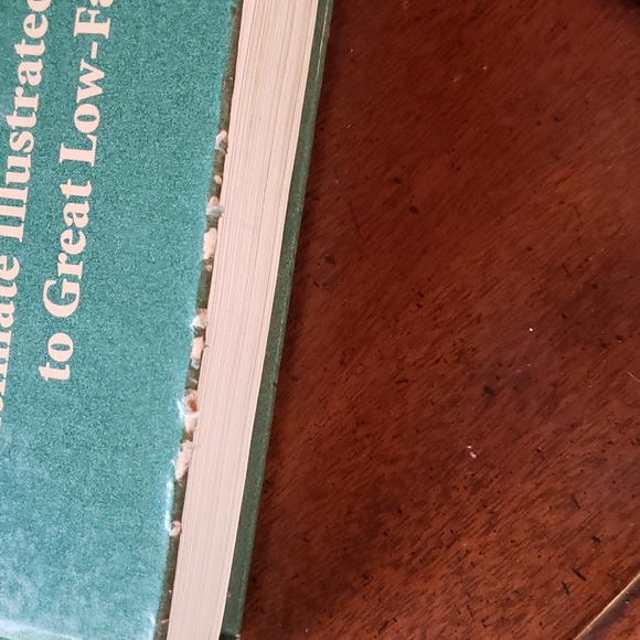 The Healthy Cook Cookbook - Picture 9 of 9